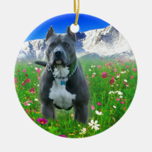 Décoration En Céramique Pitbull Terrier américain bleu, crête de brochet