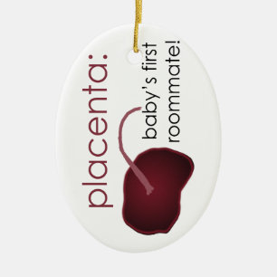 Décoration En Céramique placenta, le premier compagnon de chambre du béb