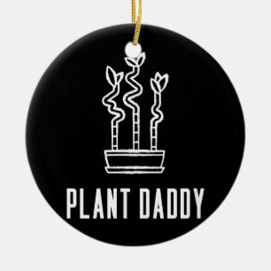 Décoration En Céramique Plante Daddy Lucky Bamboo Houseplant