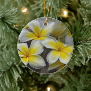 Décoration En Céramique Plumeria Hawaïen Pétale Douce