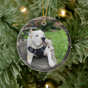 Décoration En Céramique Poignée circulaire de conservation d'animaux 2 Pho