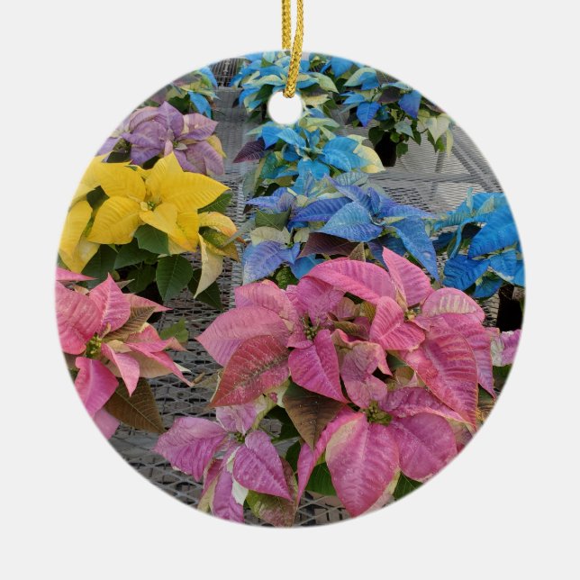 Décoration En Céramique Poinsettia (Devant)