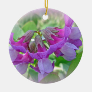 Décoration En Céramique Pois de plage - Lathyrus japonicus - fleur sauvage