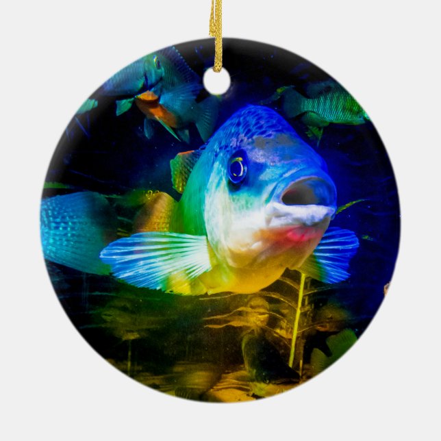 Décoration En Céramique Poisson curieux (Dos)