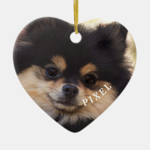 Décoration En Céramique Pont Arc En Ciel Pour Toujours Dans Notre Coeur Pe