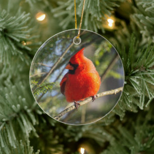 Décoration En Céramique Portrait cardinal classique