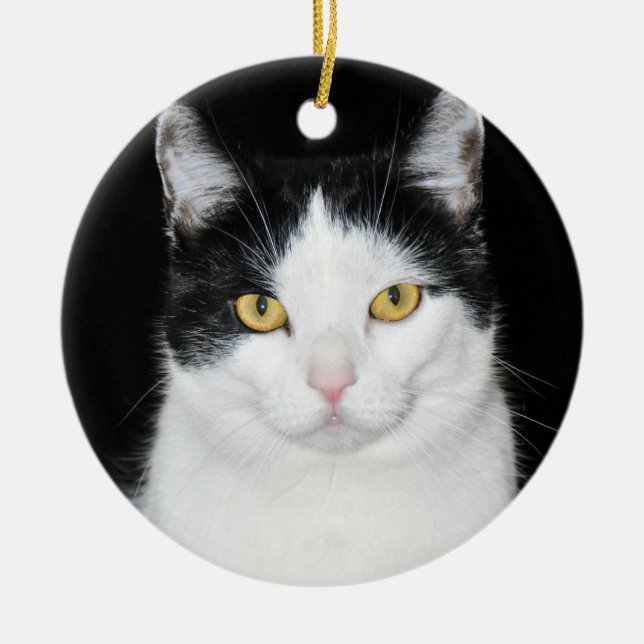 Décoration En Céramique Portrait de chat noir et blanc (Devant)