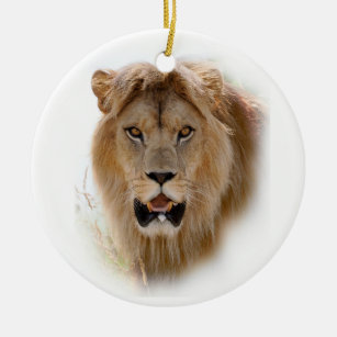 Décoration En Céramique Portrait de lion