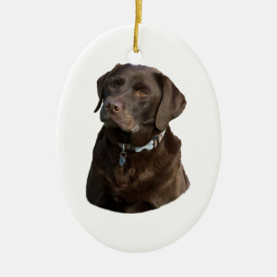 Décoration En Céramique Portrait de photo de chien de Labrador de chocolat