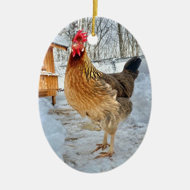 Décoration En Céramique Poulet dignifié (Devant)