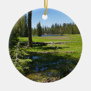 Décoration En Céramique Prairie de Yosemite avec des étoiles filantes