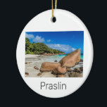 Décoration En Céramique Praslin Seychelles Island Anse Lazio Beach Cadeau<br><div class="desc">Praslin Seychelles Anse Lazio conception de l'île de plage pour des vacances. Praslin island Seychelles Indian Ocean Island souvenir Vintage pour le voyage sur La Digue et Anse Lazio. OEuvre d'art de la plage de Praslin avec noix de coco pour Mahé et les vacanciers et routards. Plage Praslin Anse Lazio...</div>