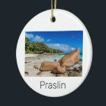 Décoration En Céramique Praslin Seychelles Island Anse Lazio Beach Cadeau<br><div class="desc">Praslin Seychelles Anse Lazio conception de l'île de plage pour des vacances. Praslin island Seychelles Indian Ocean Island souvenir Vintage pour le voyage sur La Digue et Anse Lazio. OEuvre d'art de la plage de Praslin avec noix de coco pour Mahé et les vacanciers et routards. Plage Praslin Anse Lazio...</div>
