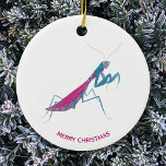 Décoration En Céramique Prier Mantis Texte personnalisé<br><div class="desc">Une mante de prière amusante pour les amoureux des insectes et des insectes. Certaines femmes mantises en prière mangent leurs petits amis. Eek ! Ajoutez votre propre texte pour customiser avec un nom,  une phrase ou une blague.</div>
