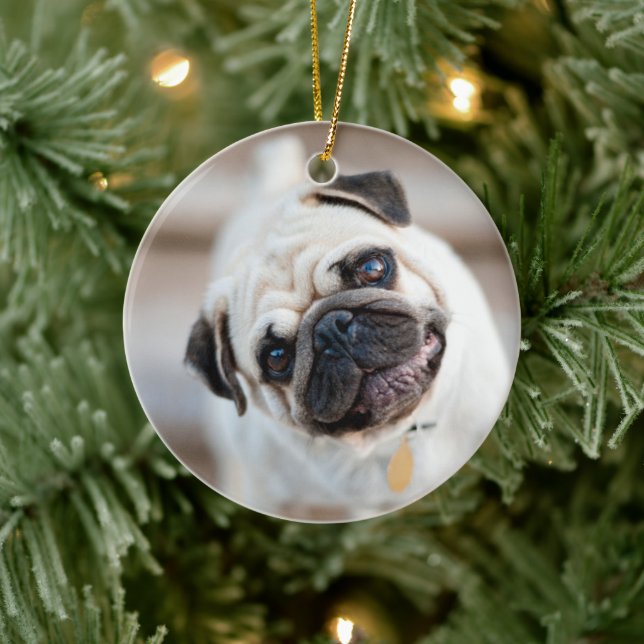 Décoration En Céramique Pug Head Tilt (Arbre)