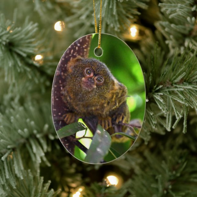 Décoration En Céramique Pygmy Marmoset Magie (Arbre)