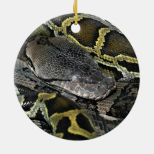 Décoration En Céramique Python molurus bivittatus