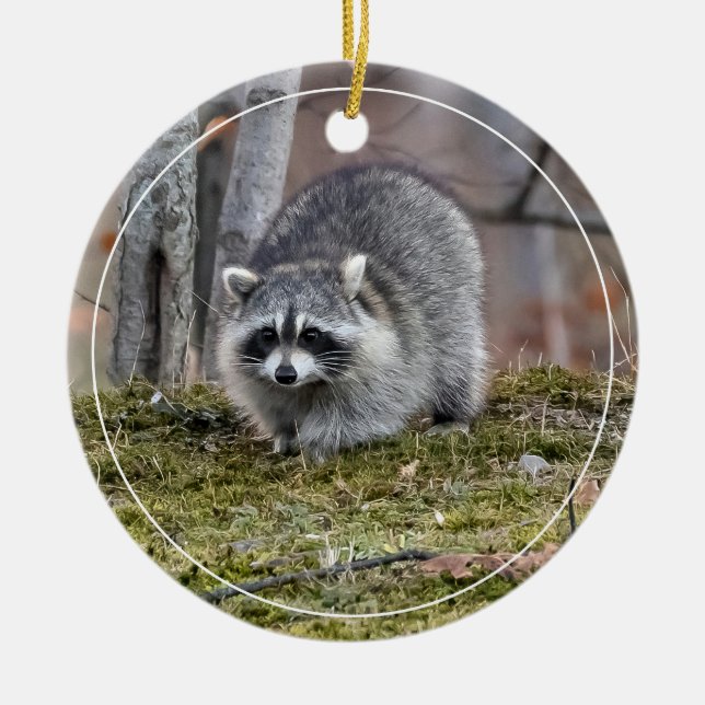 Décoration En Céramique Raccoon (Devant)