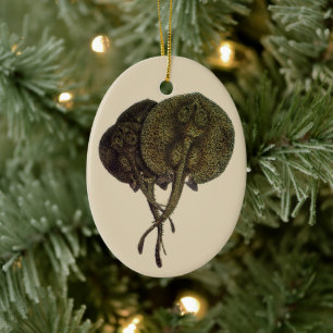 Décoration En Céramique Raies pastenagues, Animaux de la vie marine vintag