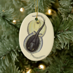 Décoration En Céramique Raies pastenagues tachetées, Animaux marins vintag