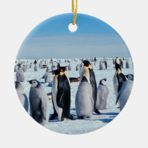 Décoration En Céramique Rassemblement de pingouin