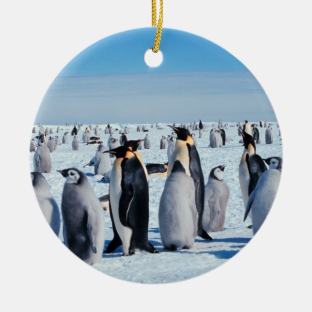 Décoration En Céramique Rassemblement de pingouin (Devant)