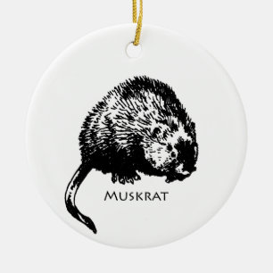 Décoration En Céramique Rat musqué (illustration)