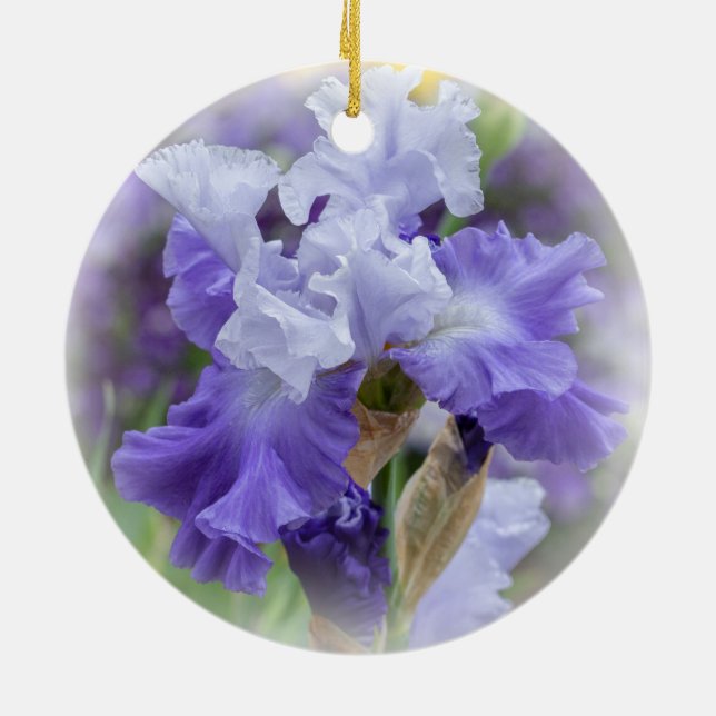 Décoration En Céramique Regal Beares Iris - Violet & Blanc (Dos)