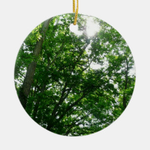 Décoration En Céramique Regard sur les arbres d'été