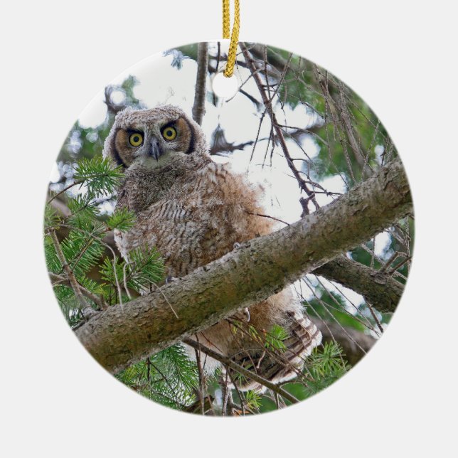 Décoration En Céramique Regarder de hibou de bébé (Devant)