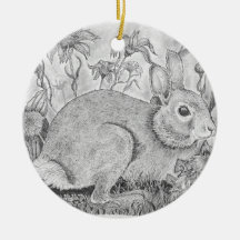 Repose De Lapin Entre Fleurs sauvages