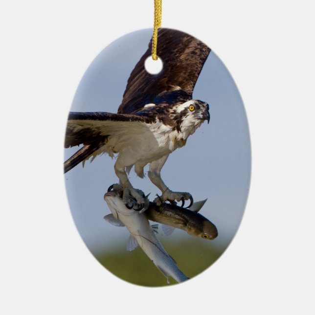 Décoration En Céramique Représentation (Devant)