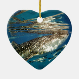 Décoration En Céramique Requin baleine et rémora