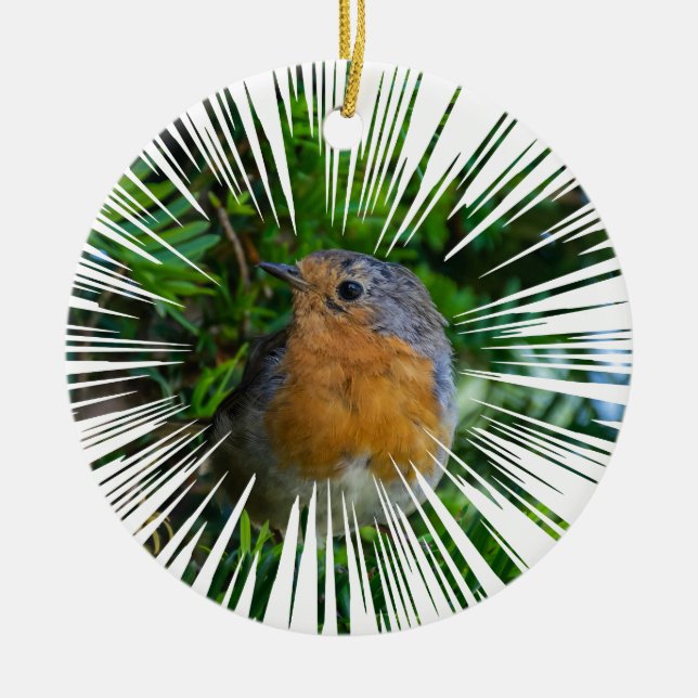 Décoration En Céramique Robin Arbre de Noël (Devant)