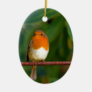 Décoration En Céramique ROBIN Rouge