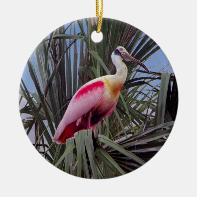 Décoration En Céramique Roseate Spoonbill orament (Devant)