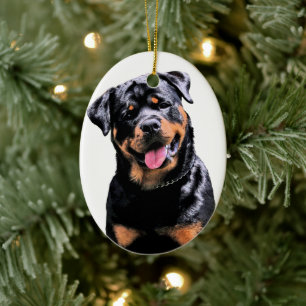 Décoration En Céramique Rottweiler