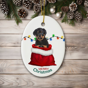 Décoration En Céramique Rottweiler Chien chiot en sac cadeau de vacances