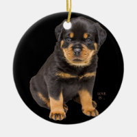 Rottweiler Rottie Mom Chien Papa Tee Love Pet