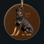 Décoration En Céramique Rottweiler Rottie Mom Dog Dad Love Pet Puppy<br><div class="desc">Rottweiler Rottie Mom Dog Dad Love Pet Puppy Lover Gift. Perfect gift for your dad,  mom,  papa,  men,  women,  friend and family members on Thanksgiving Day,  Christmas Day,  Mothers Day,  Fathers Day,  4th of July,  1776 Independent day,  Veterans Day,  Halloween Day,  Patrick's Day</div>
