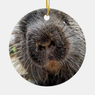 Décoration En Céramique Rox 2016