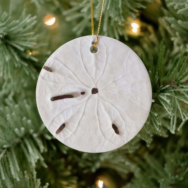 Décoration En Céramique Sand Dollar Beach Coastal White Round Trendy Cool (Arbre)