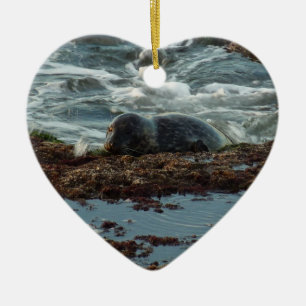 Décoration En Céramique Sceau de port Lit Sunset I à San Diego