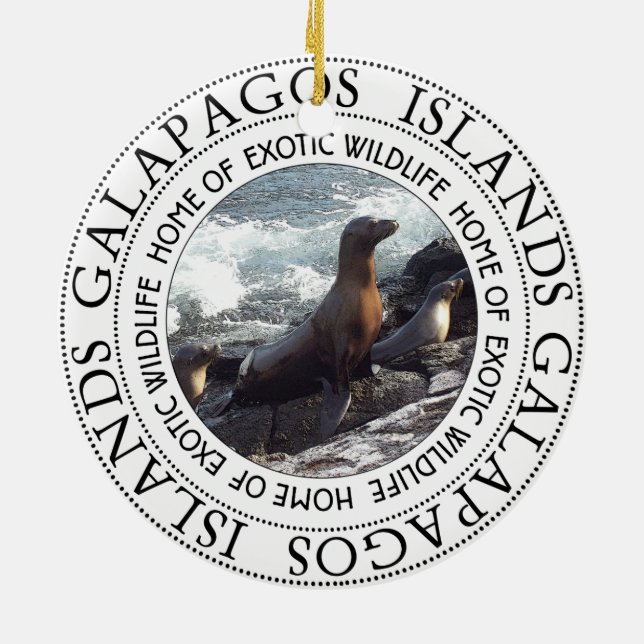 DÉCORATION EN CÉRAMIQUE SCEAUX DE GALAPAGOS RONDS (Dos)