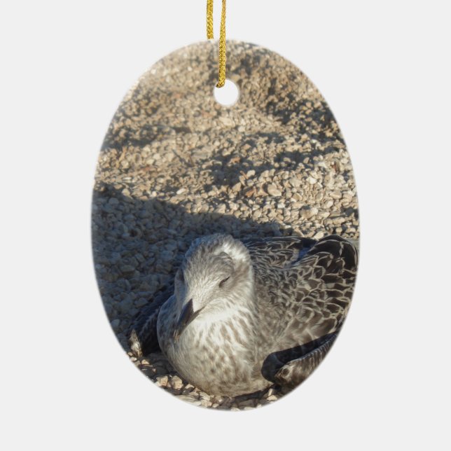 Décoration En Céramique Seagull Profitant Du Soleil Été Photographie (Dos)