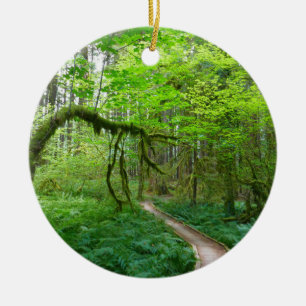 Décoration En Céramique Sentier des Forêts anciennes du parc national Olym