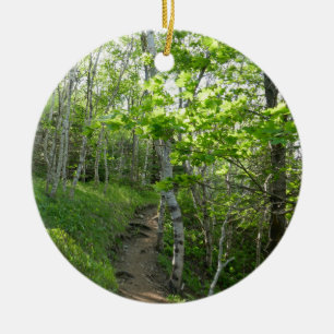 Décoration En Céramique Sentier forestier au parc national d'Acadia