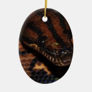 Décoration En Céramique Serpent