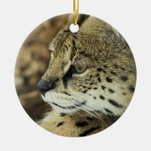 Décoration En Céramique Serval