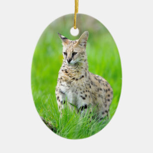 Décoration En Céramique Serval dans l'herbe